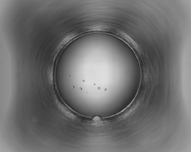 X0000111880938200907301134