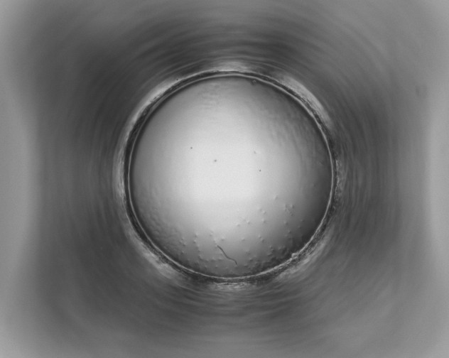 X0000111880939200907301134
