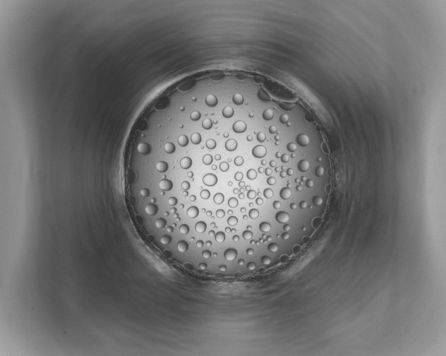X0000111880940200907301134