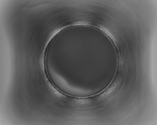 X0000111880941200907301134
