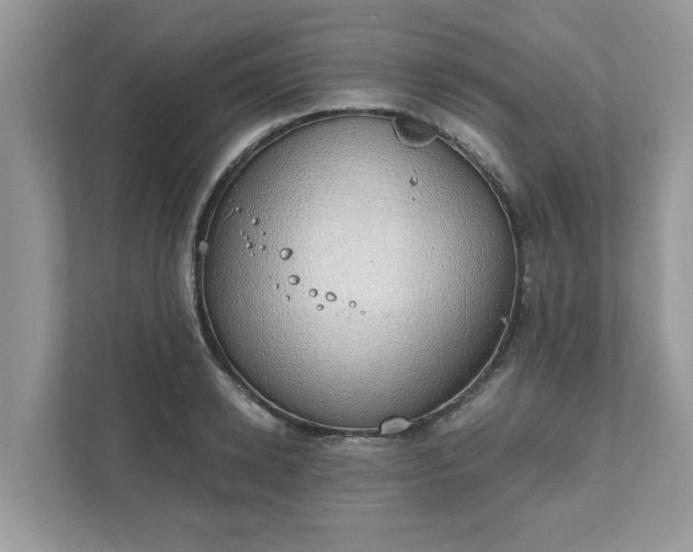X0000111880942200907301134
