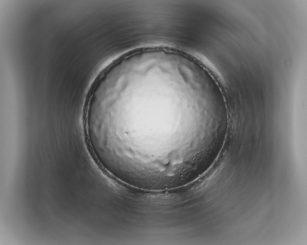 X0000111880943200907301134