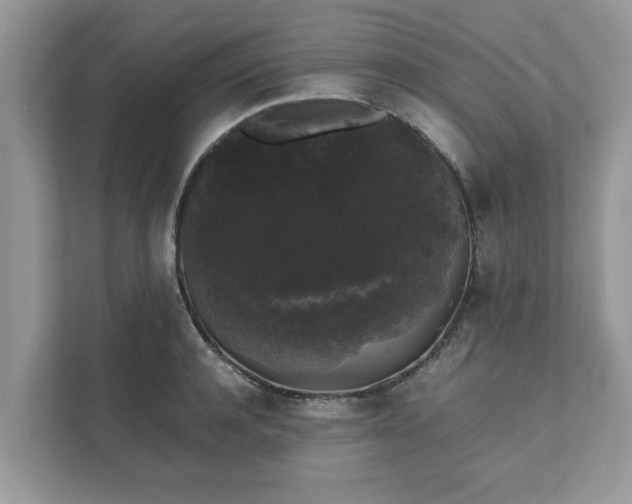 X0000111880944200907301134