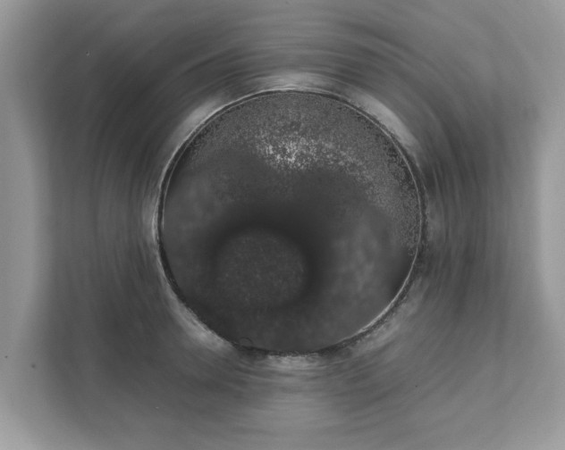 X0000111880946200907301134
