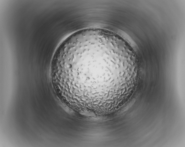 X0000111880948200907301134
