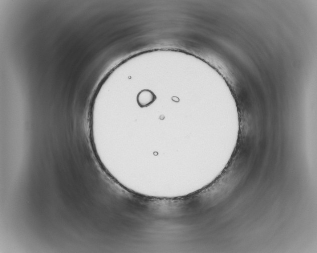 X0000111880950200907301134