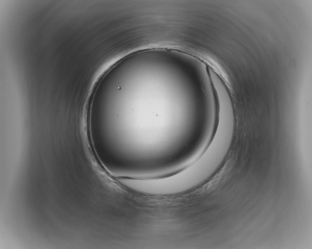X0000111880952200907301134