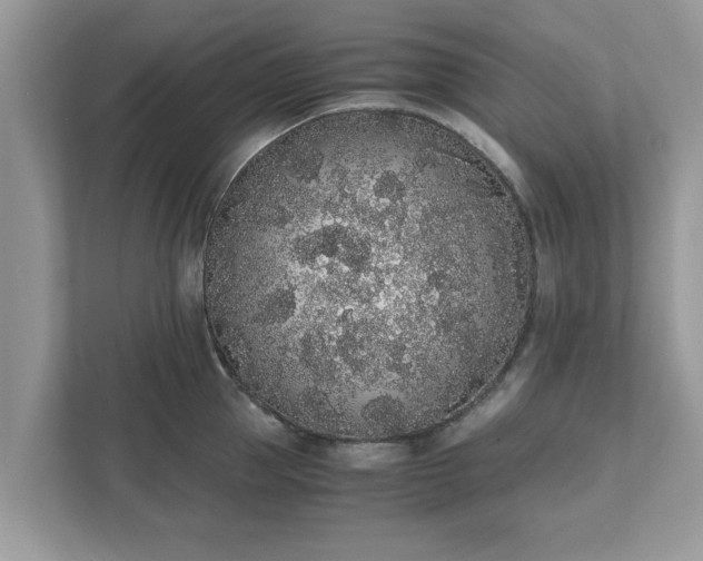 X0000111880953200907301134