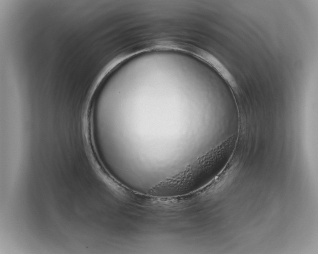 X0000111880955200907301134