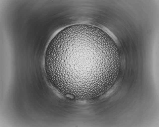 X0000111880956200907301134