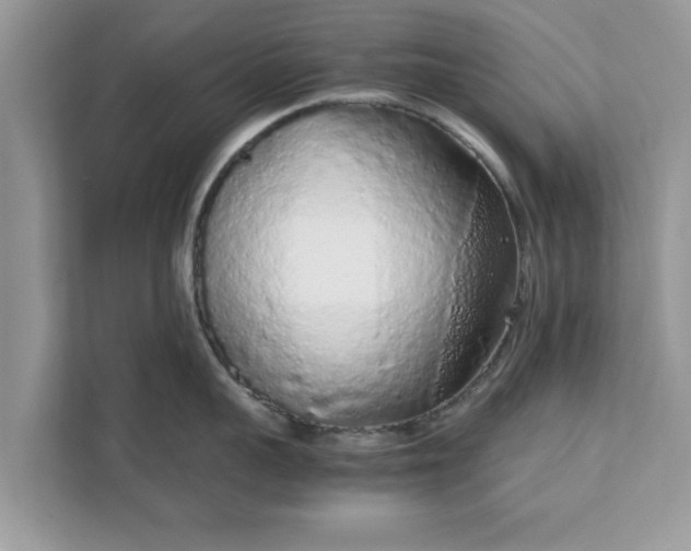 X0000111880959200907301134
