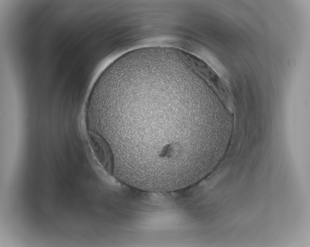 X0000111880960200907301134