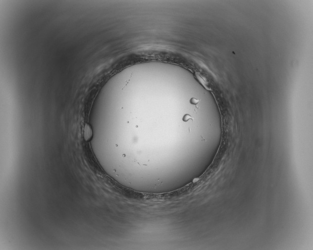 X0000111880965200907301134