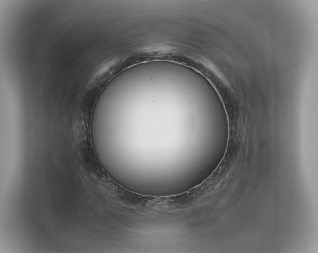 X0000111880967200907301134