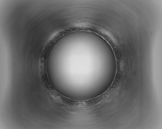X0000111880968200907301134