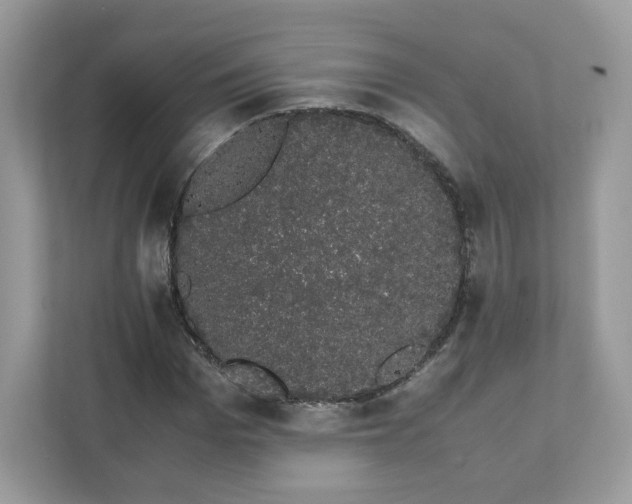 X0000111880969200907301134