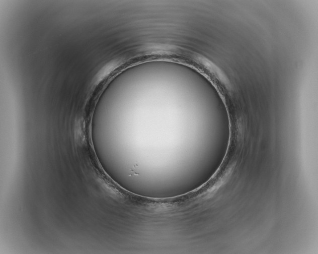 X0000111880970200907301134