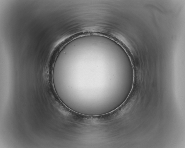 X0000111880971200907301134