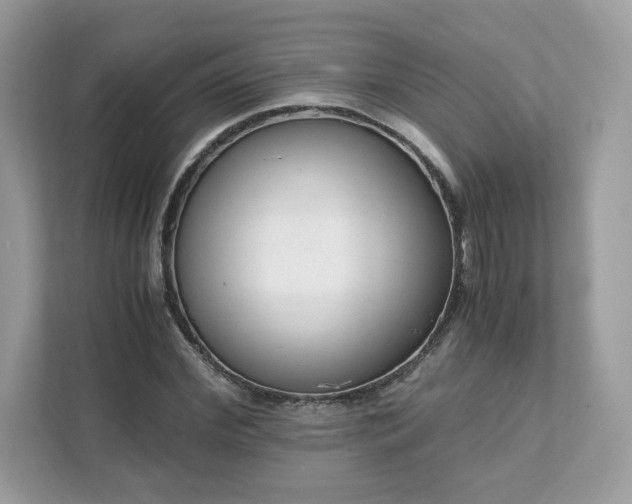 X0000111880972200907301134