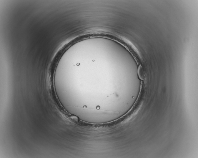 X0000111880973200907301134