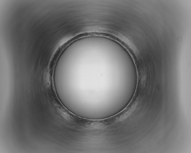 X0000111880974200907301134