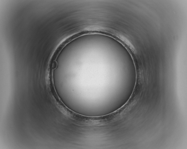 X0000111880976200907301134
