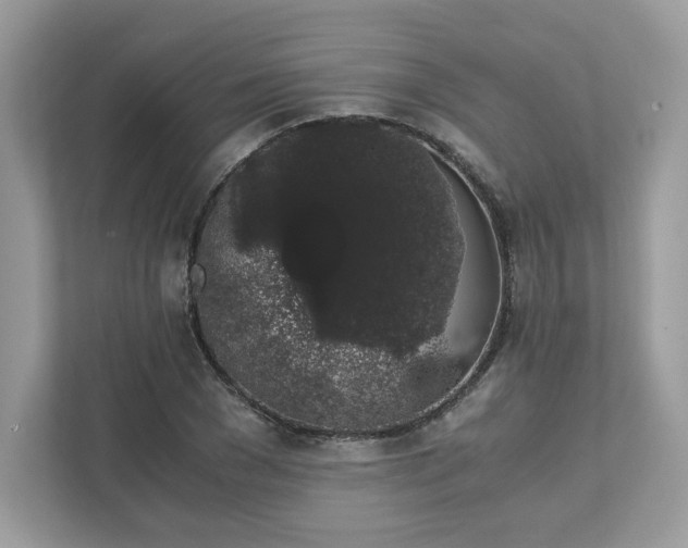 X0000111880977200907301134