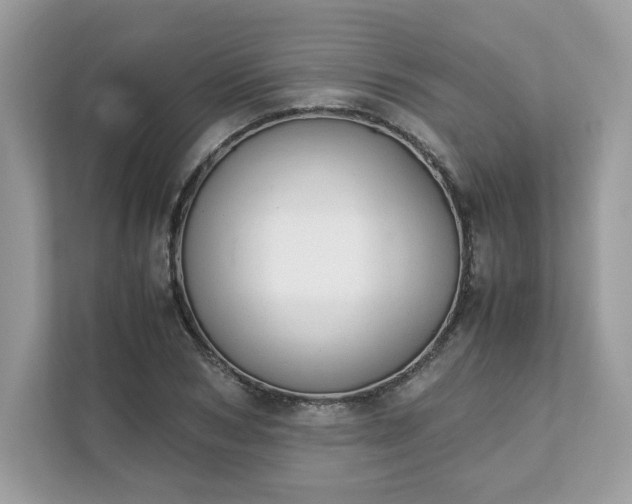 X0000111880978200907301134