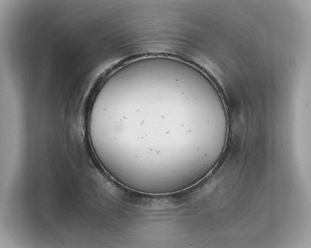 X0000111880979200907301134