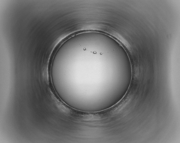 X0000111880980200907301134
