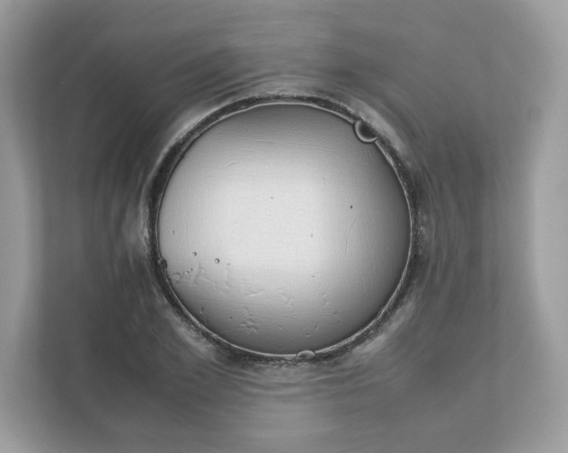 X0000111880981200907301133