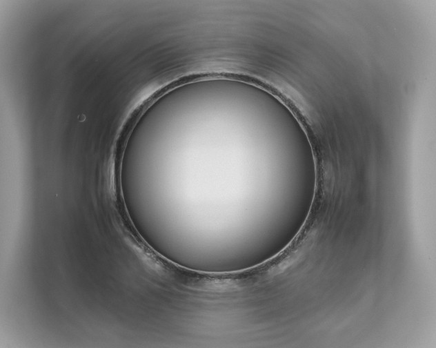 X0000111880982200907301133