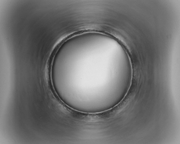 X0000111880983200907301133