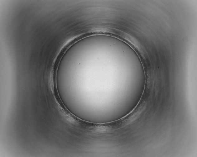 X0000111880984200907301133