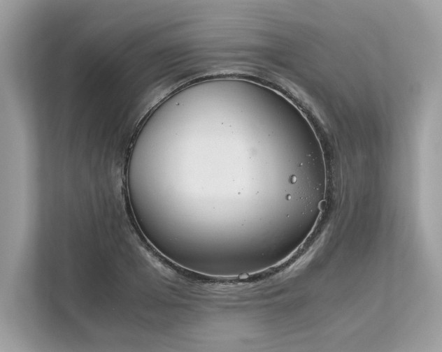X0000111880985200907301133