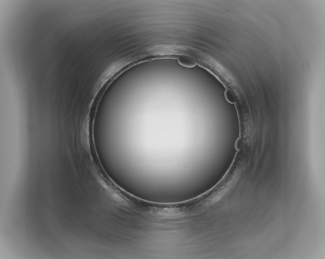X0000111880986200907301133