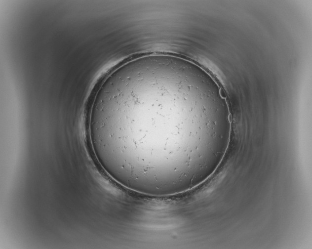 X0000111880987200907301133