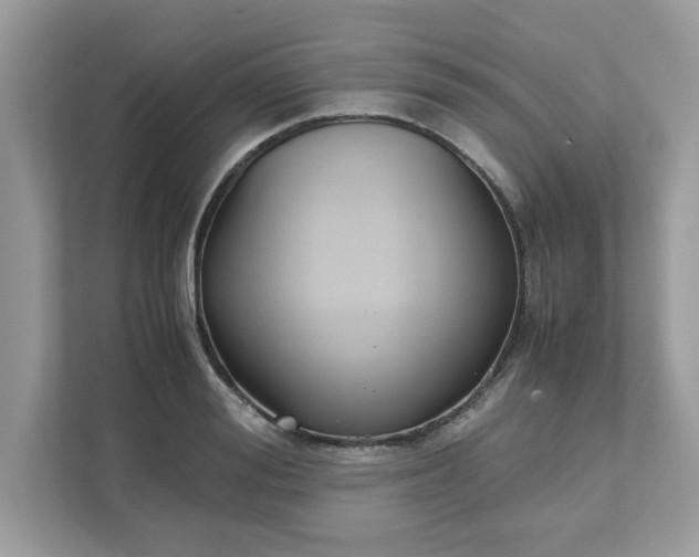 X0000111880988200907301133