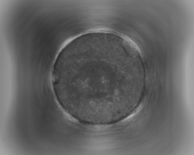 X0000111880989200907301133