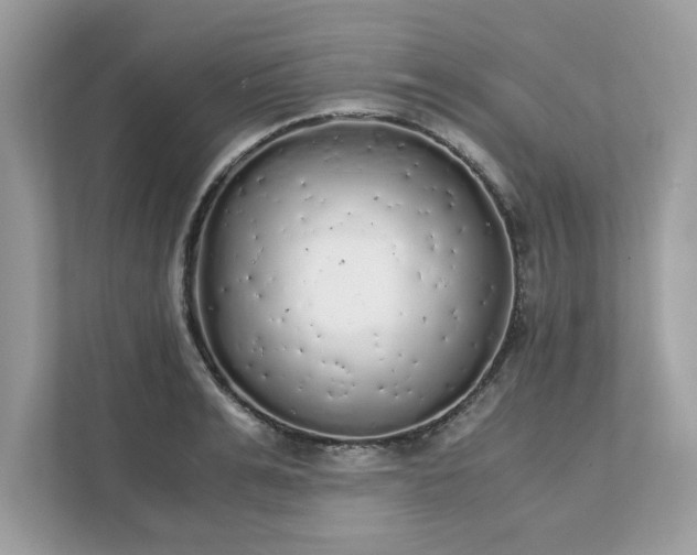 X0000111880991200907301133