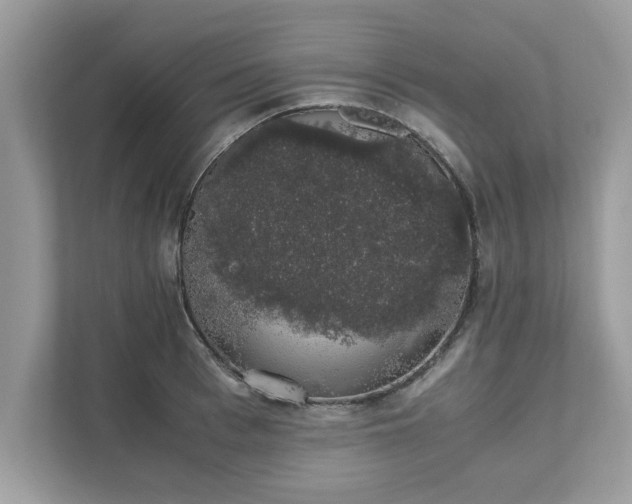 X0000111880993200907301133