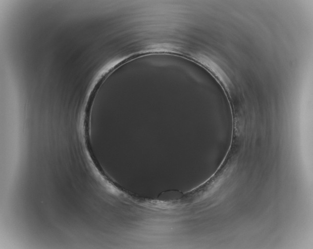 X0000111880995200907301133