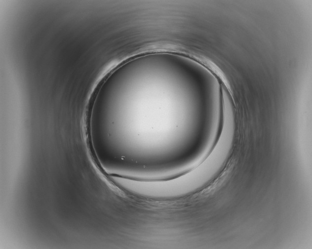 X0000111880997200907301133