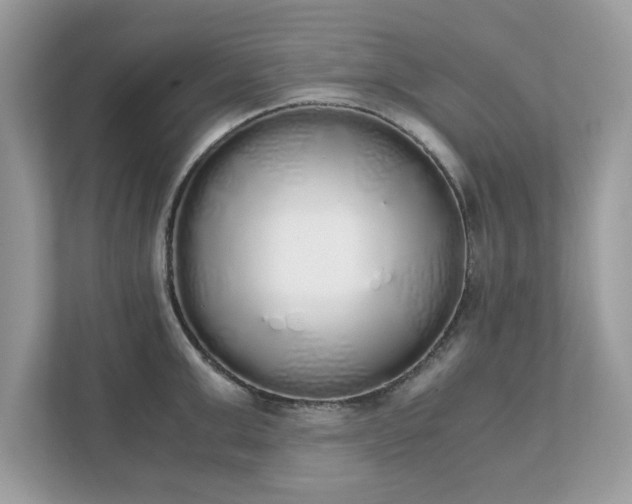 X0000111880999200907301133