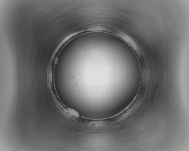 X0000111881000200907301133