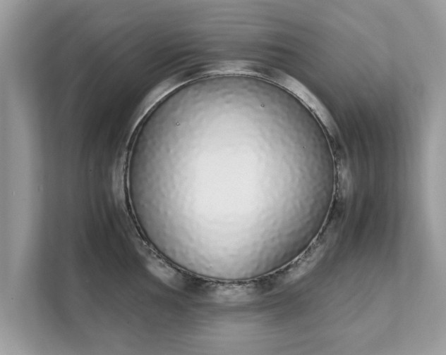 X0000111881002200907301133