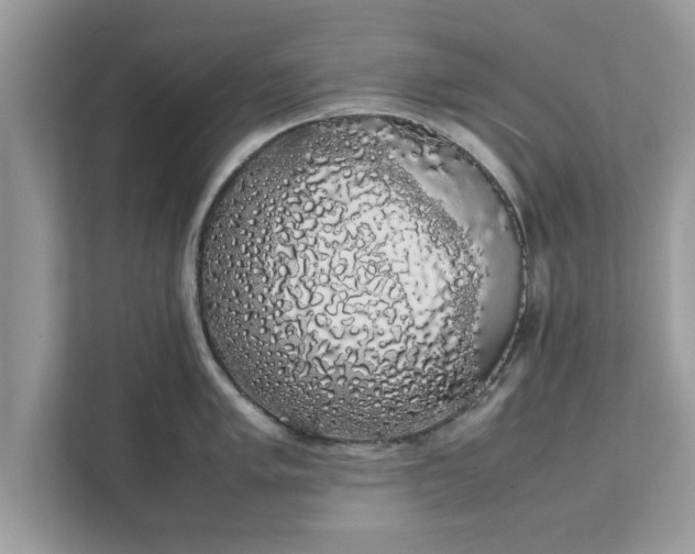 X0000111881005200907301133