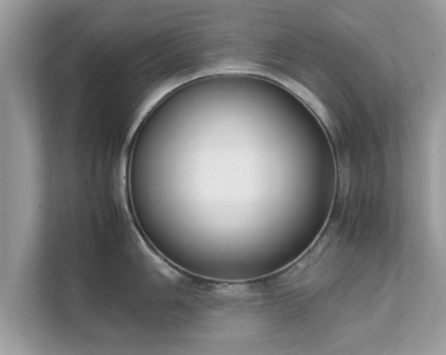 X0000111881006200907301133