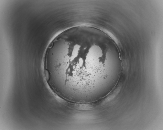 X0000111881007200907301133