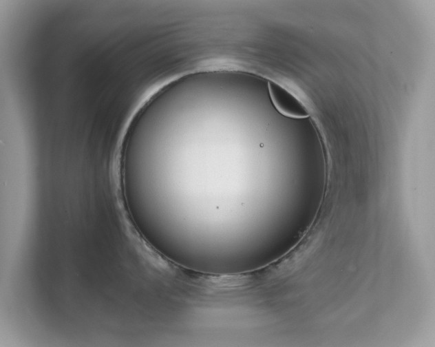 X0000111881008200907301133